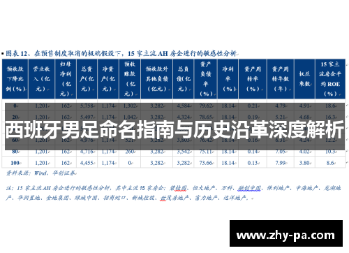 西班牙男足命名指南与历史沿革深度解析